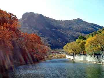 新澳天天开奖资料大全旅游团，速腾好不好